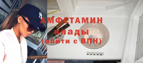 прущие грибы Аркадак
