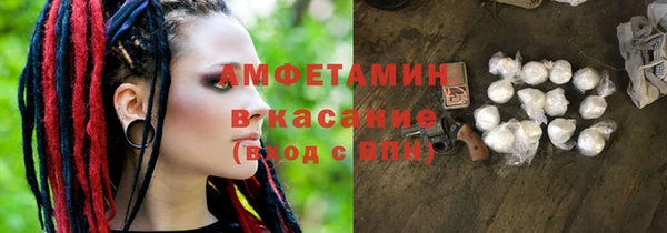 прущие грибы Аркадак