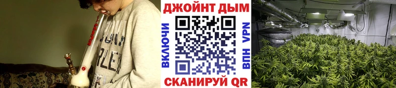 Бошки Шишки Amnesia  наркота  кракен ТОР  Ревда 